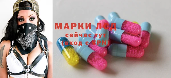 прущие грибы Белокуриха