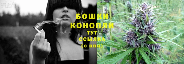 прущие грибы Белокуриха