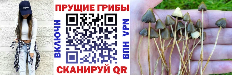 купить наркоту  Бикин  Галлюциногенные грибы ЛСД 